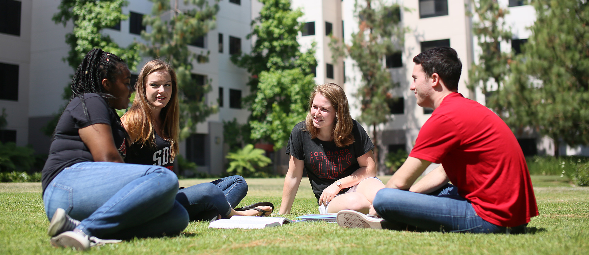 Students sitting on the grass