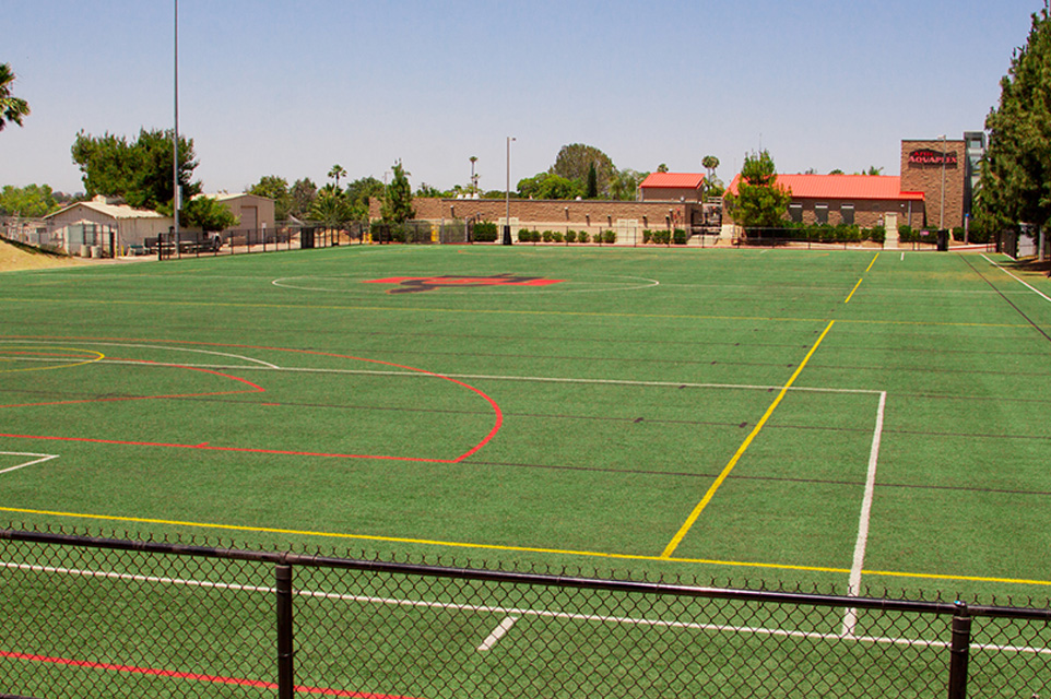 Turf Field